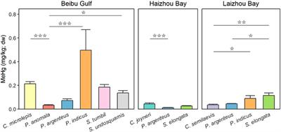 Variations in methylmercury contamination levels and associated health risks in different fish species across three coastal bays in China